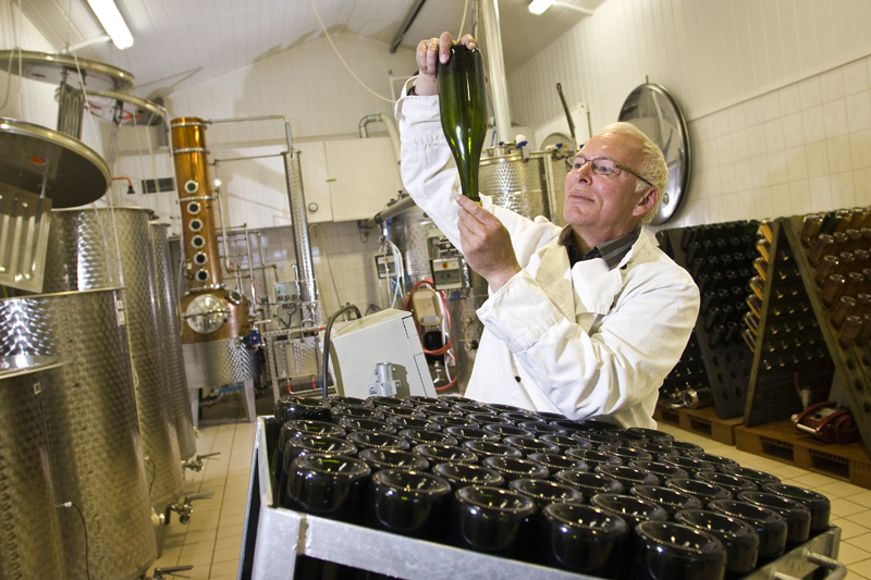 Weingut Skærsøgaard Vin bei Kolding im dänischen Jütland