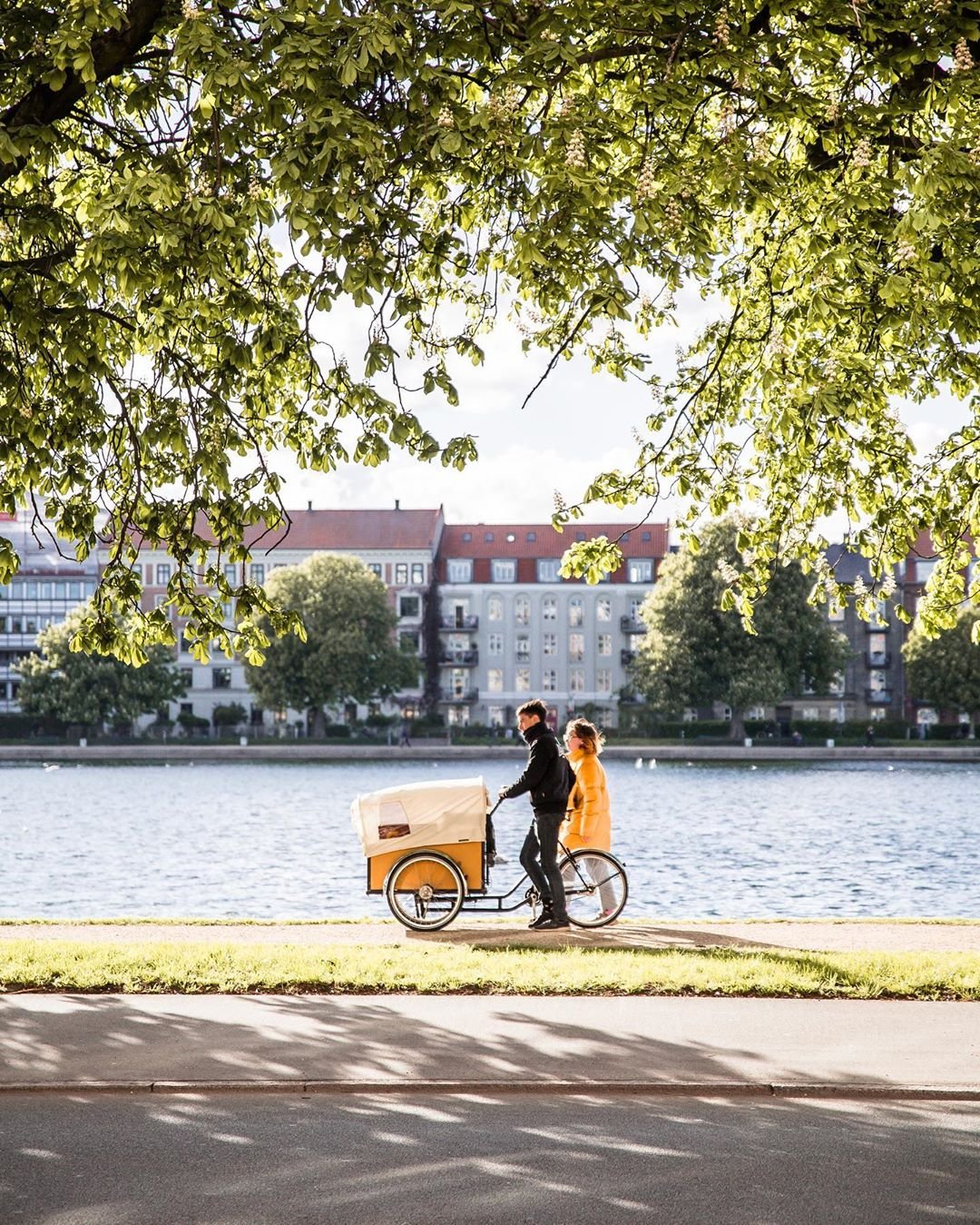 Cargo bike by the lakes in Copenhagen