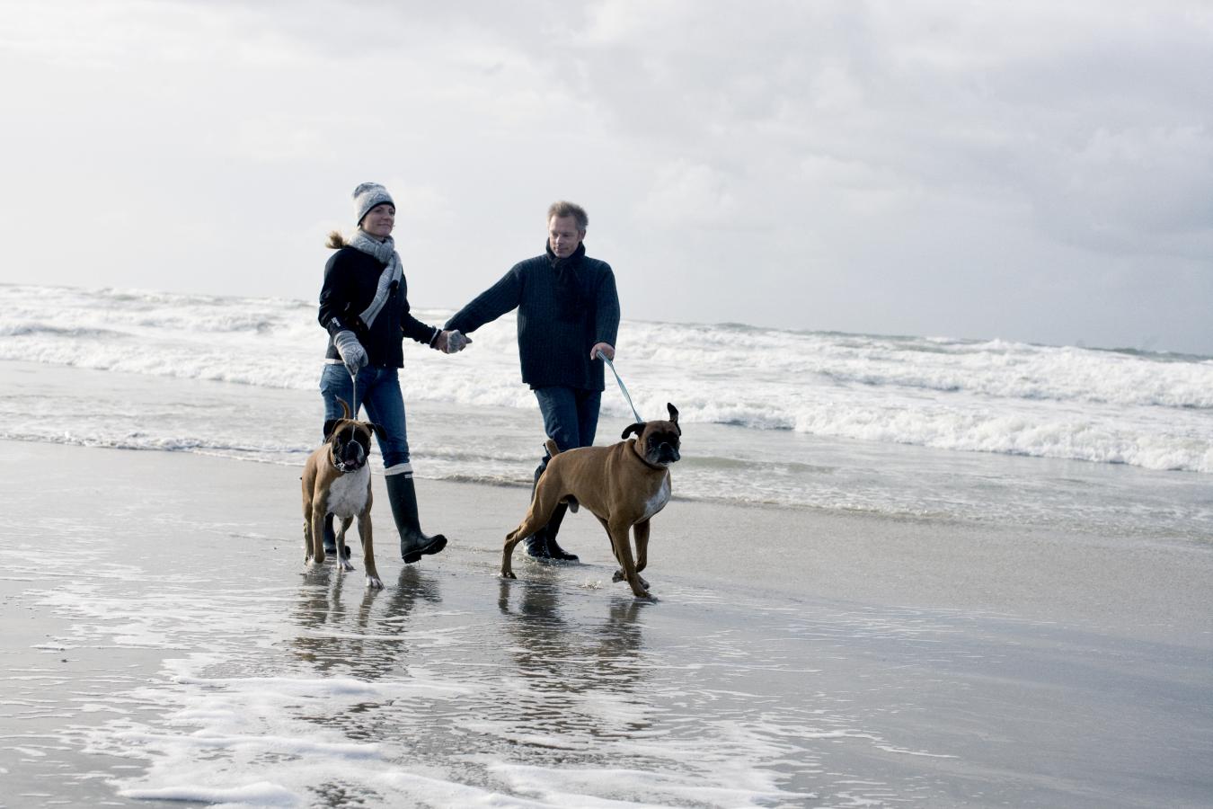 Paar mit Hund am Strand, SONNE UND STRAND
