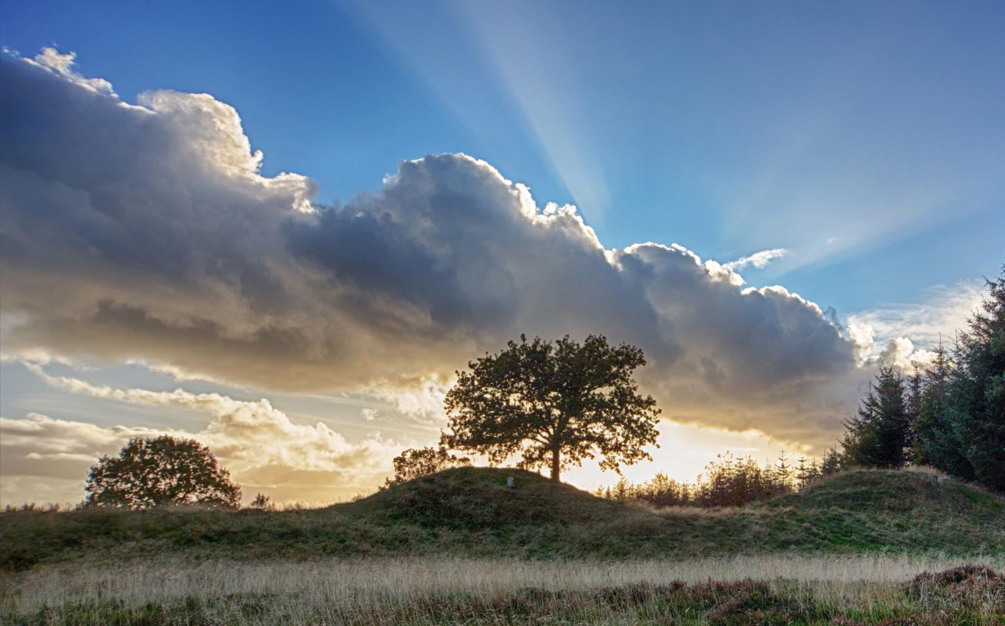 Legind Bjerge Nordjylland