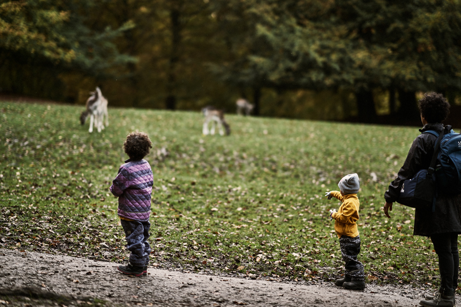 Aarhus Deer Park