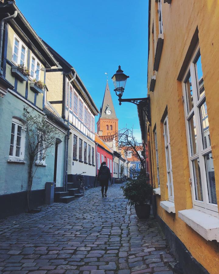 Kvinne som går på brosteinsgate i Hjelmerstald i Aalborg på høsten