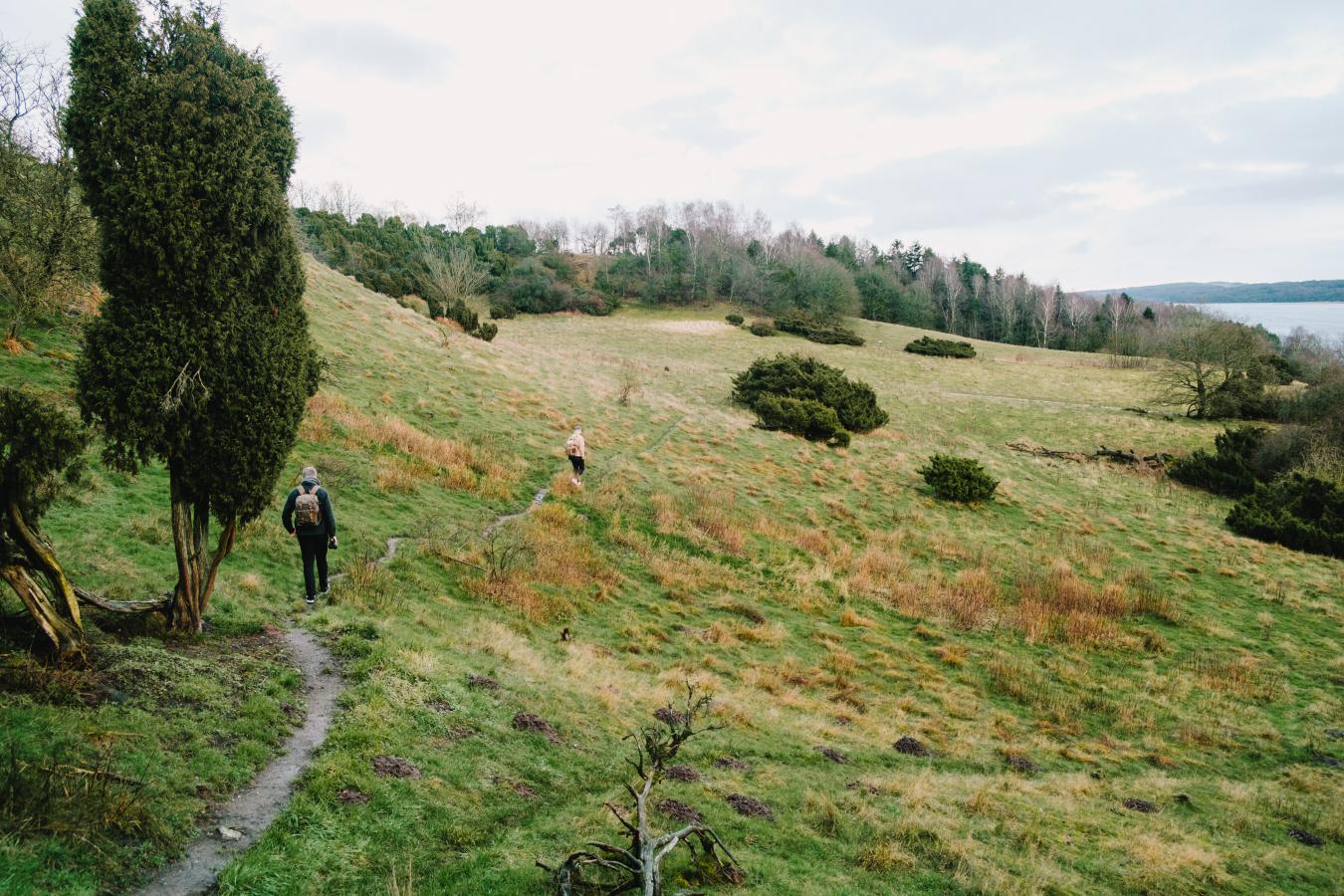 Wandern in den Bramslev Bakker im dänischen Nordjüland