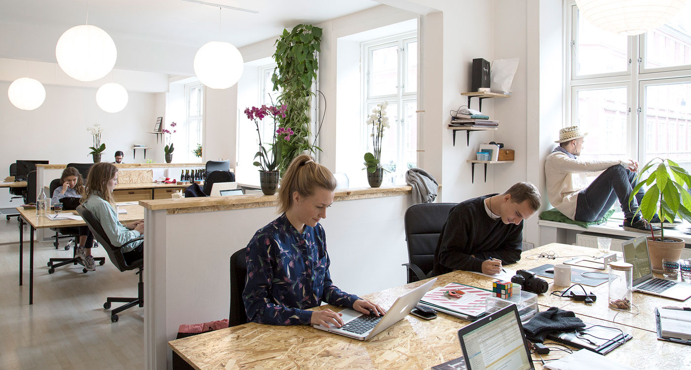 Greencubator, a co-working space in Copenhagen