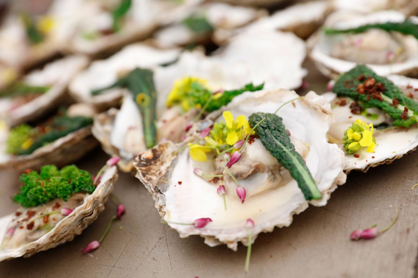 Upptäck den lokala delikatessen ostron på Nordjylland