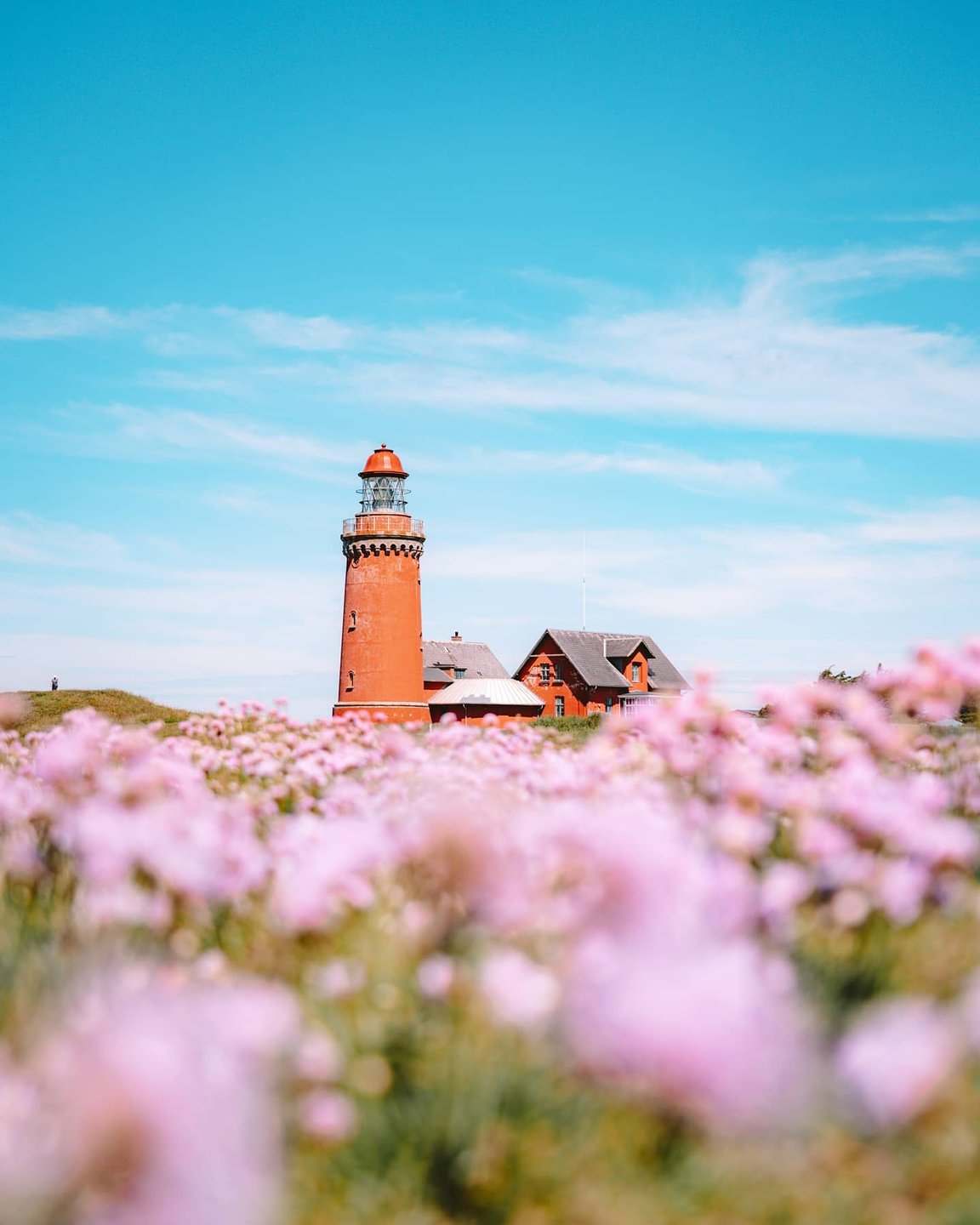 A lighthouse in a summer landscape full of flowers, bovbjergfyr, Denmark