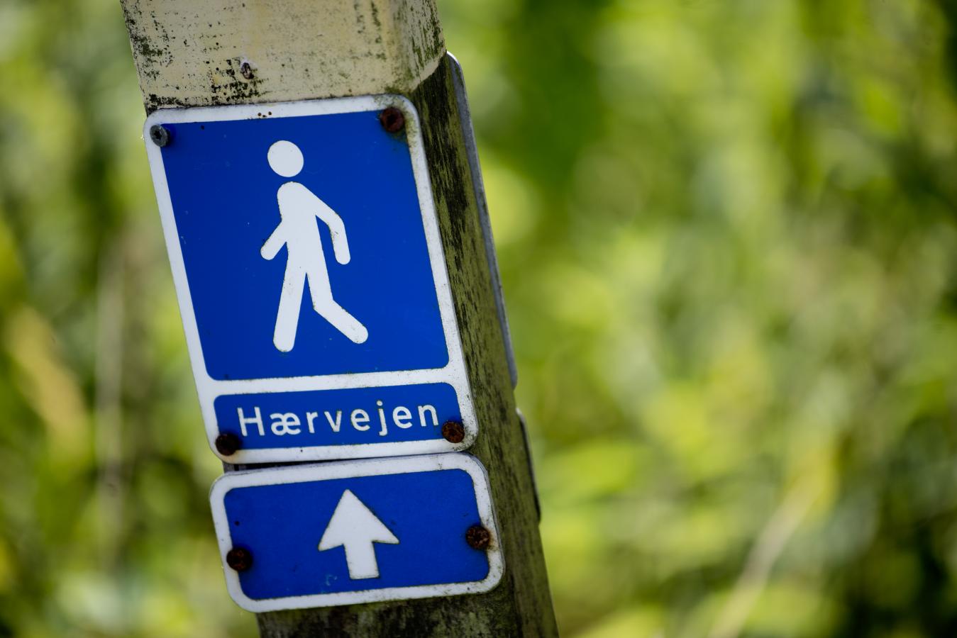 Wandern auf dem dänischen Pilgerweg Heerweg