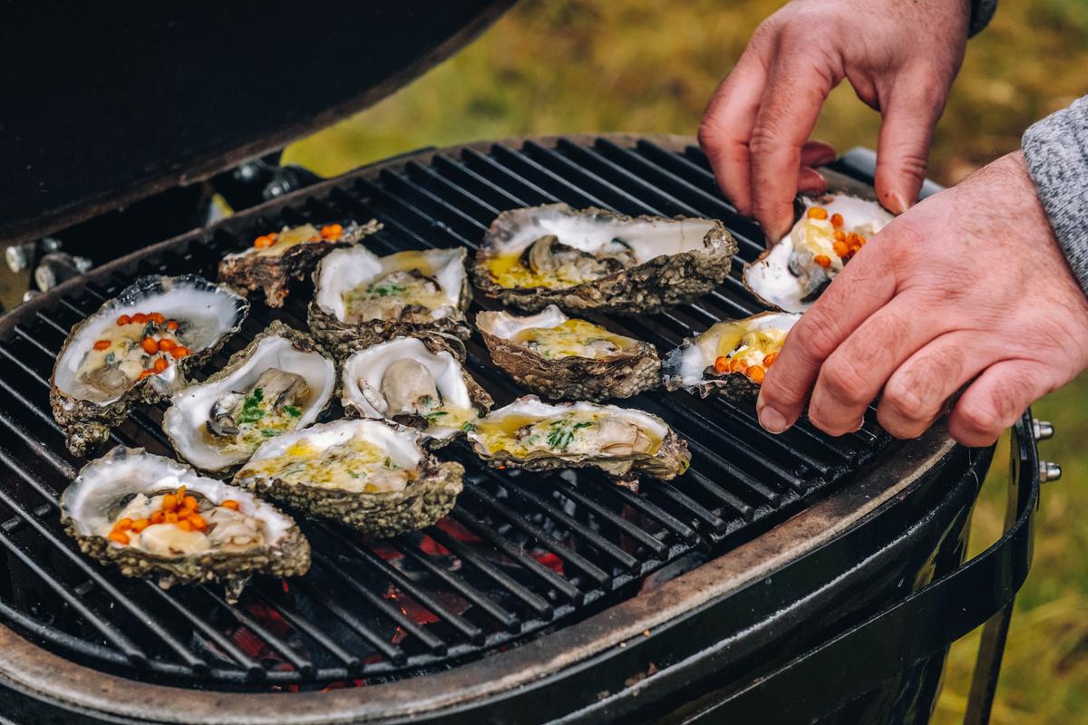 Oysters by the Wadden Sea