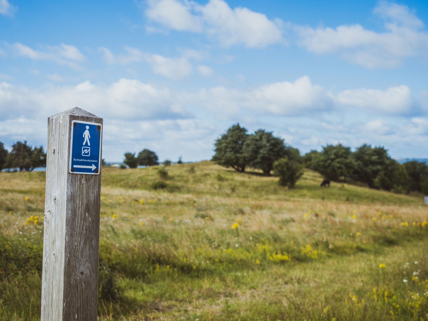 Wandern auf dem Wanderweg Seelandsweg im dänischen Seeland