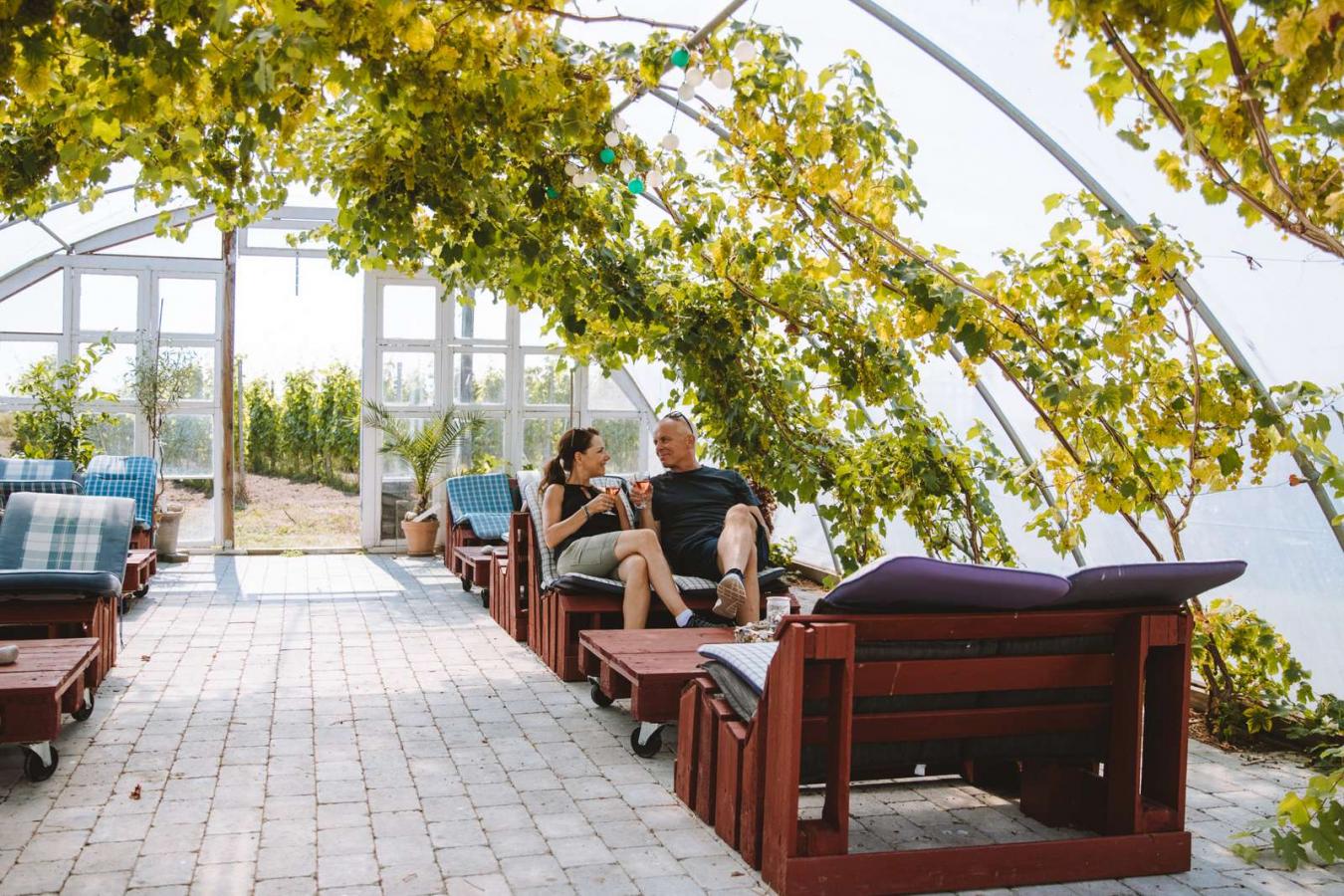 A couple enjoying a glass of wine in the orangerie at Årø Vinyard.