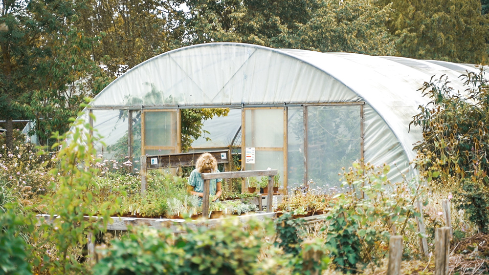 Den Økologiske Have