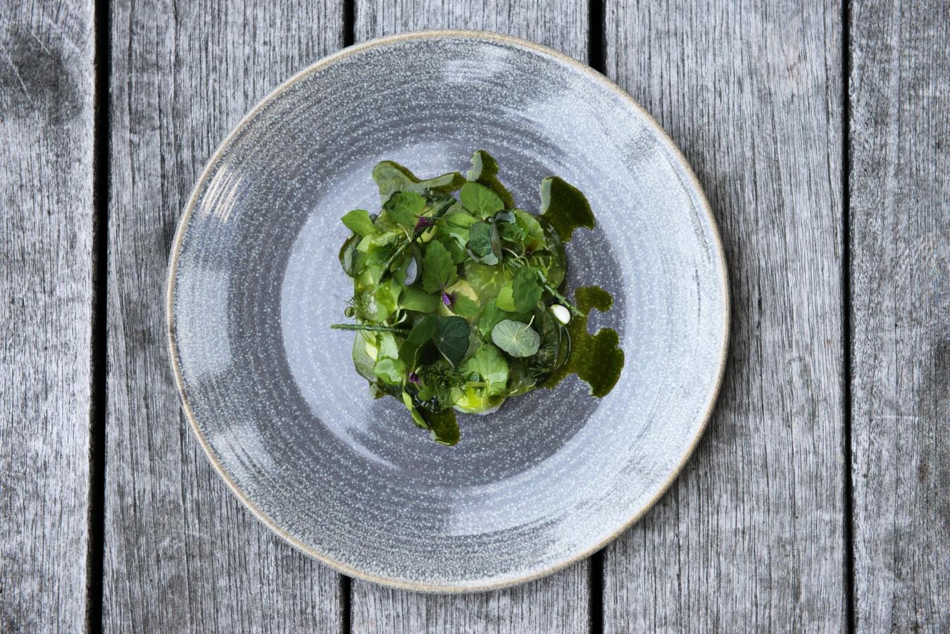 A plate of green food at Skodsborg Hotel, Copenhagen, Denmark