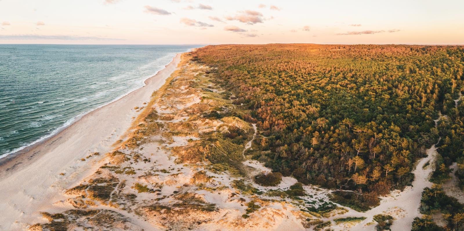 Billede over Melby Overdrev, strand og skog i Nordsjælland