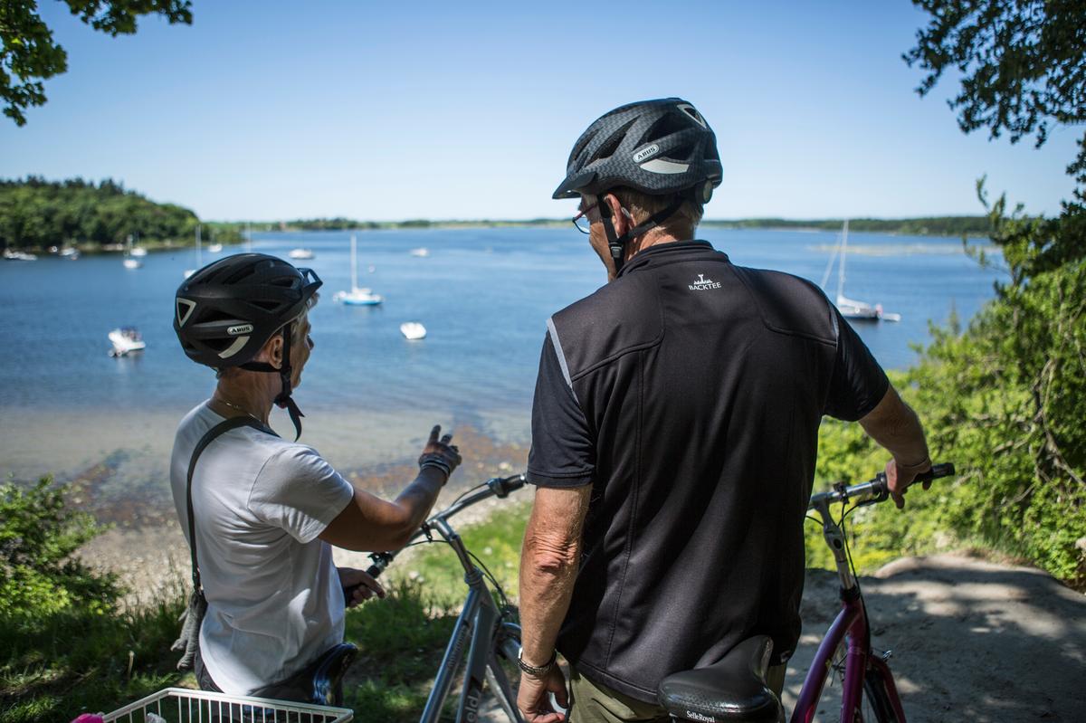 Two cyclists enjoy the view of the Roskilde Fjord in the Skjoldungernes Land National Park in Denmark