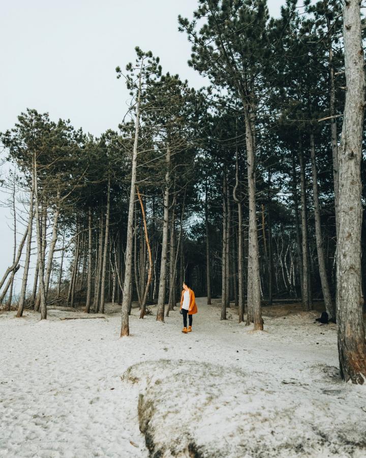 A man hiking at Hornbæk plantage, North Zealand, Denmark