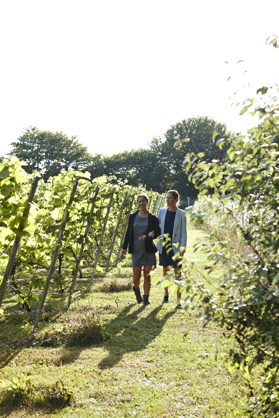 Par på Skaarupøre Vingaard