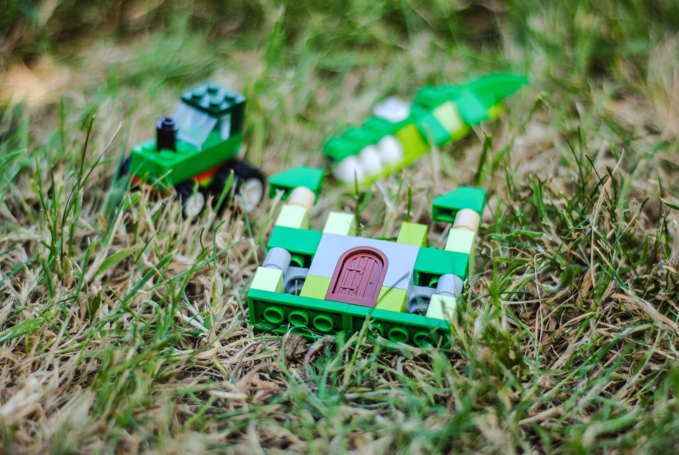 LEGO pieces with a natural background
