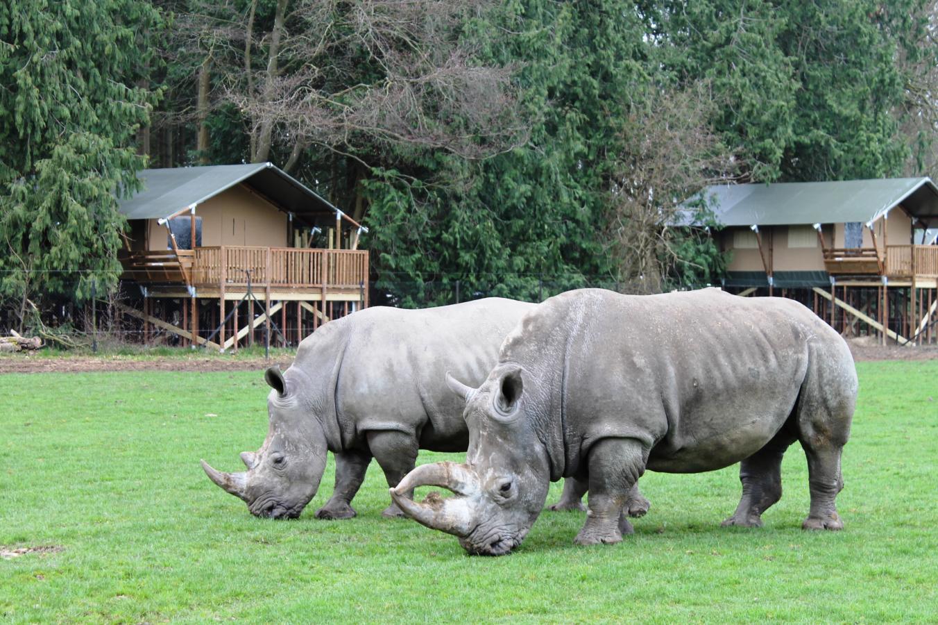 Knuthenborg Safaripark auf der dänischen Ostseeinsel Lolland