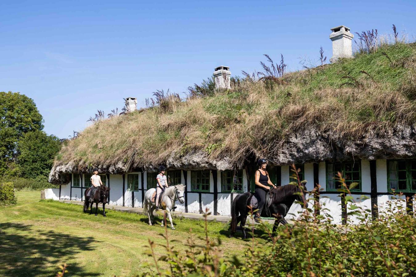 Traditioneel huis op Læsø met paarden
