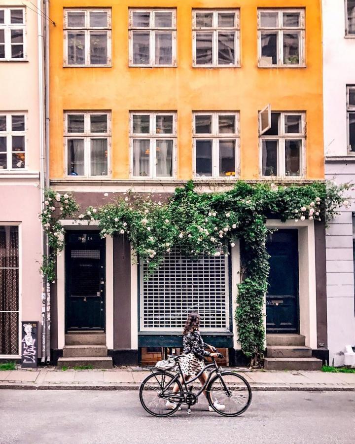 Cycling in copenhagen