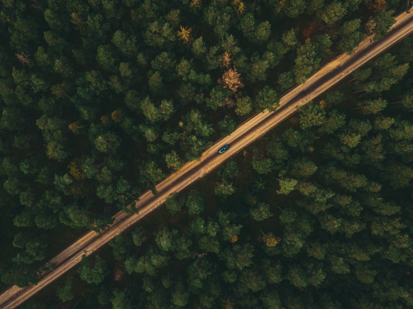 Asserbo Plantage, Sjælland