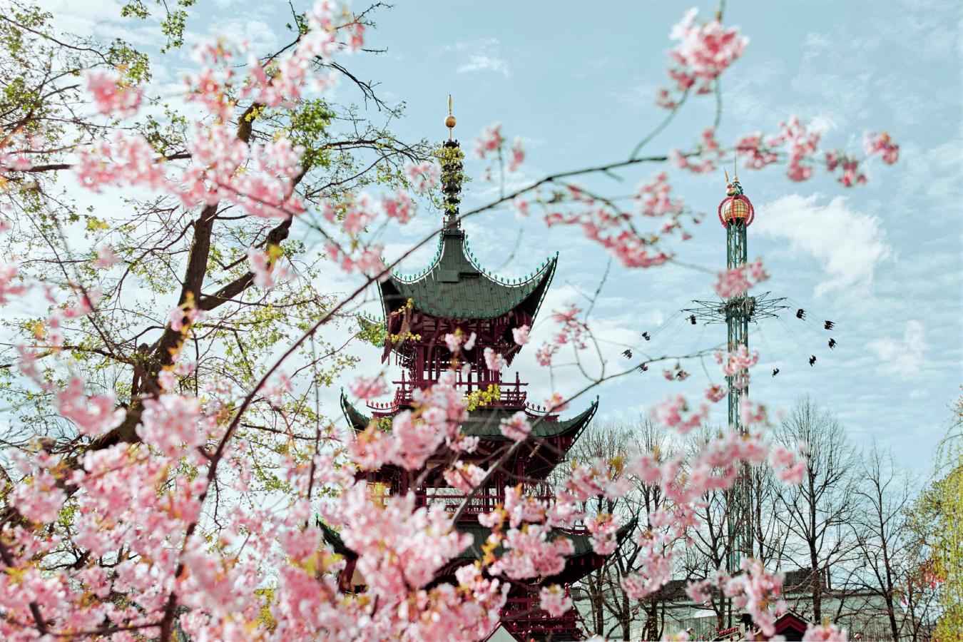 Tivoli Japanese Tower and The Golden Tower in spring