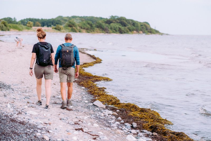 Vakantie Denemarken? Kies voor een actieve vakantie in de natuur