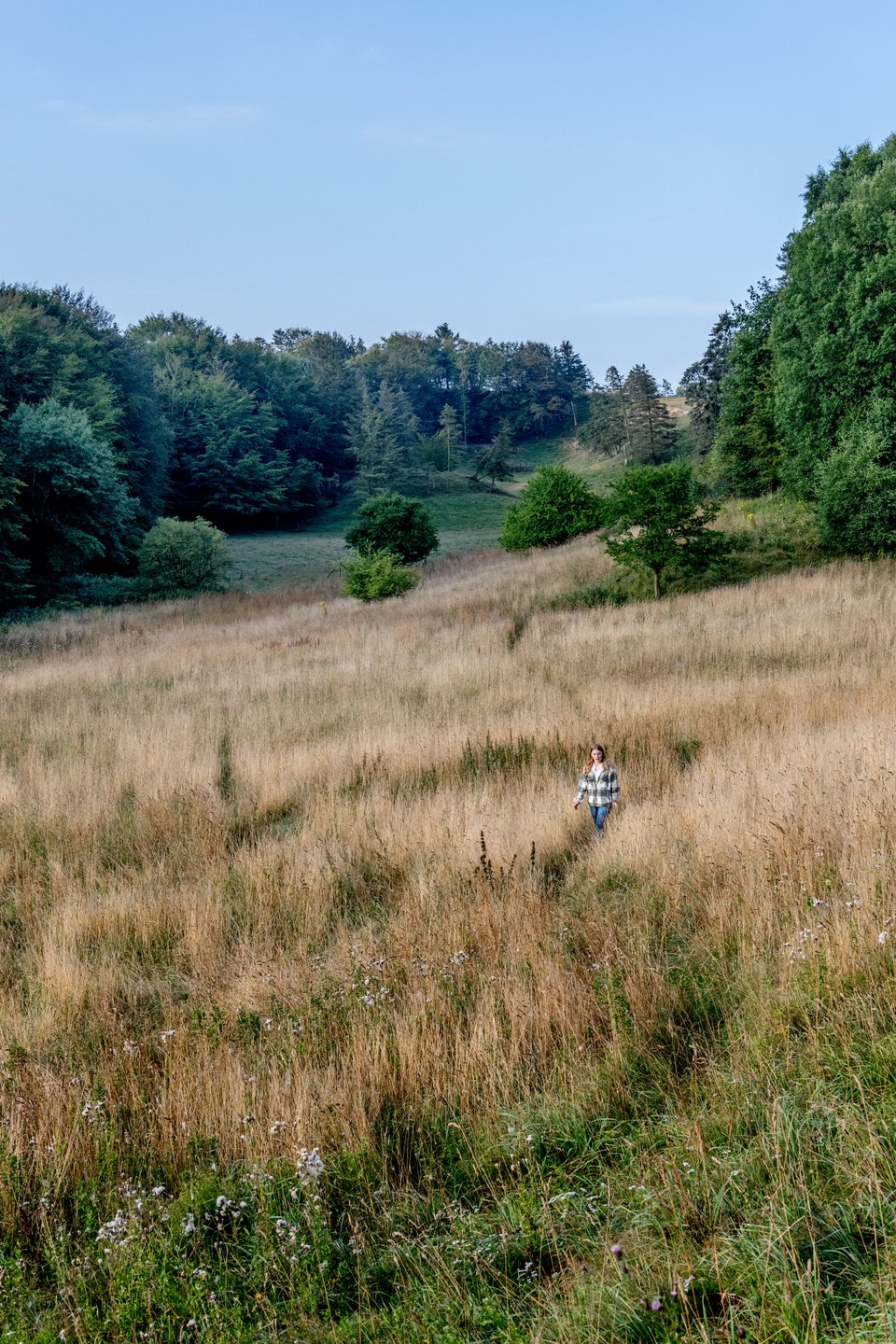 eine Frau wandert in Jyske Ås Brønderslev, Nordjütland in Dänemark