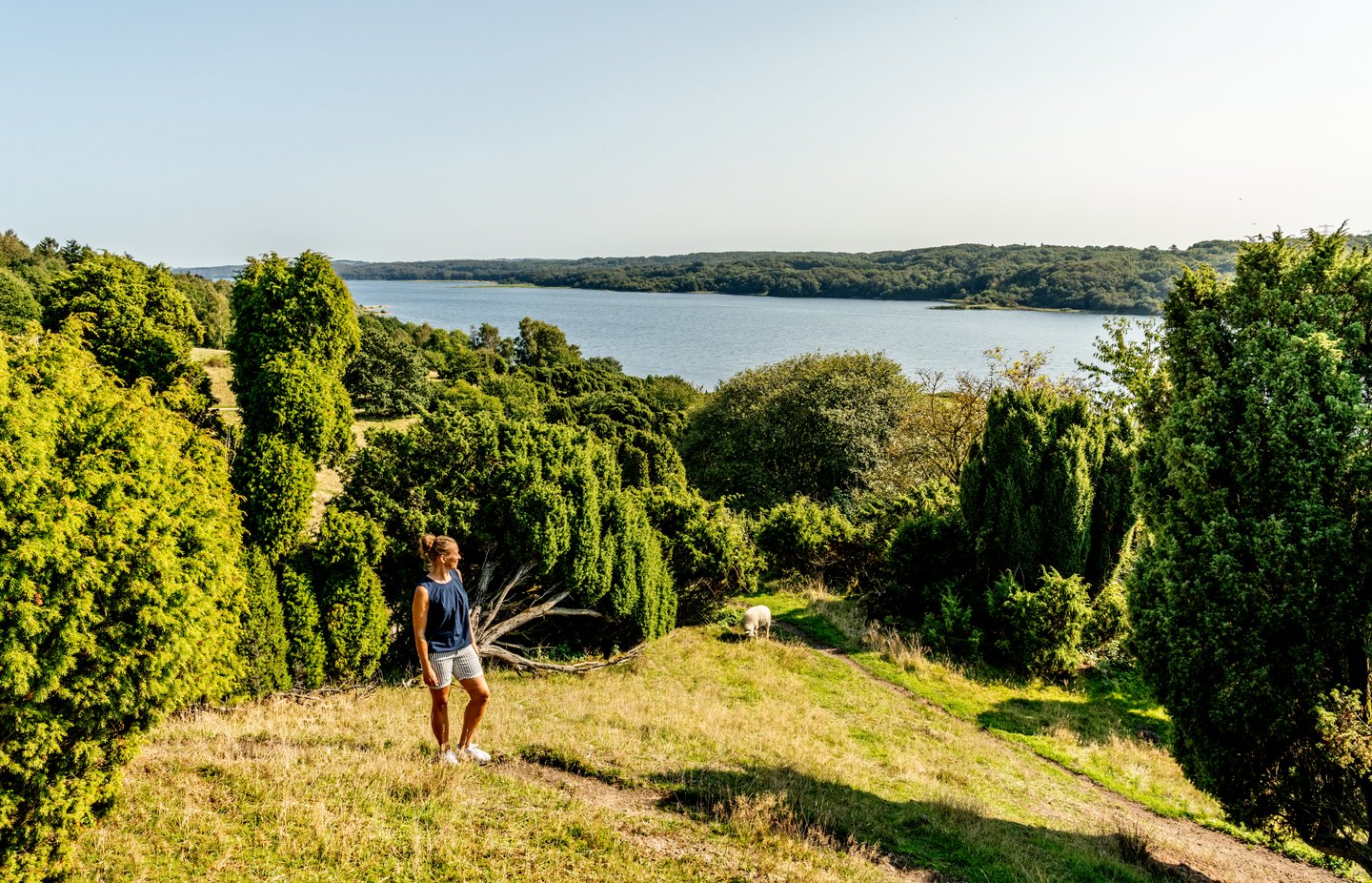 Kvinne på tur i Bramslev Bakker, Mariager Fjord, Nordjylland