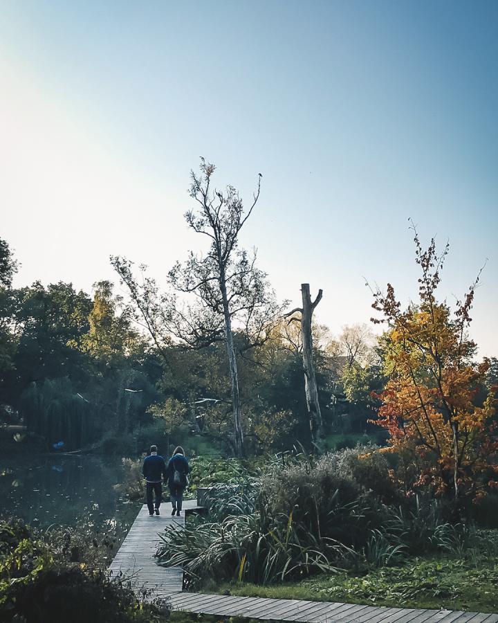 A couple walk in Munkemose Park, Odense, Denmark in autumn