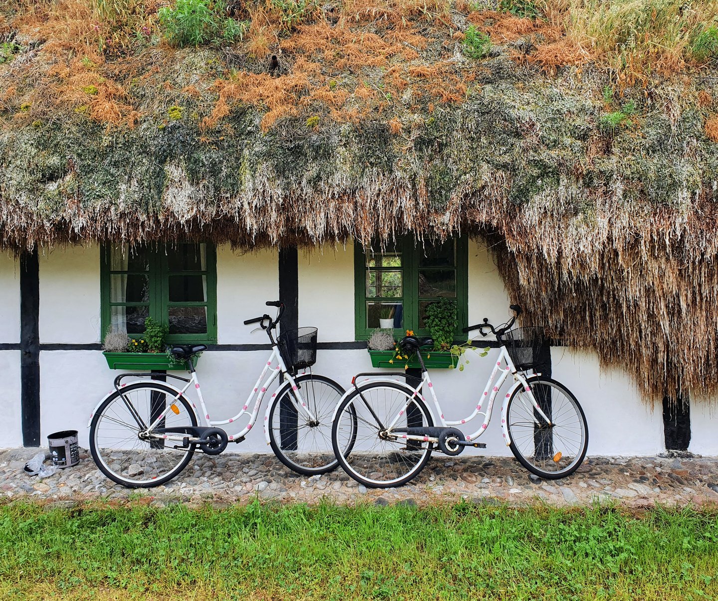 Tanghaus auf der Insel Laeso in Dänemark