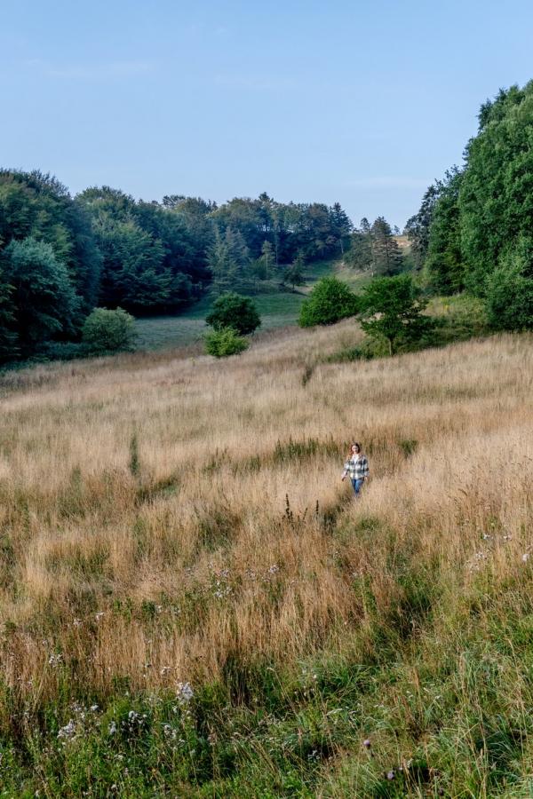 Wandelen in Jyske ås