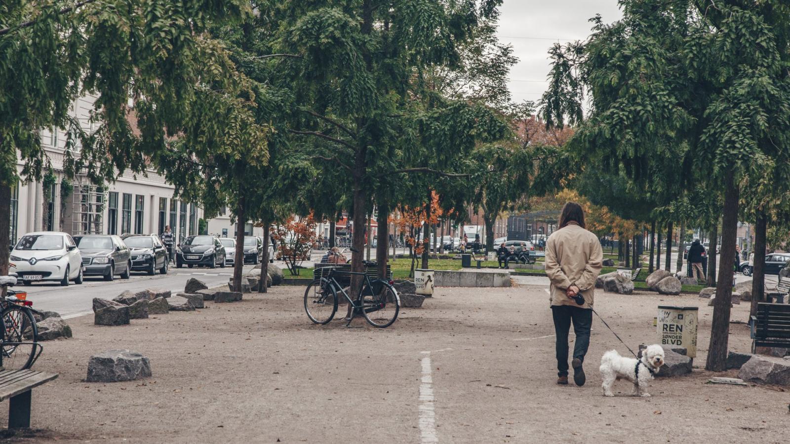 A man walks a dog in Copenhagen, Denmark