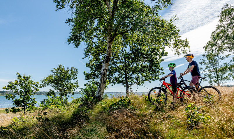 De leukste fietsroutes, fietsvakantie bestemming Denemarken