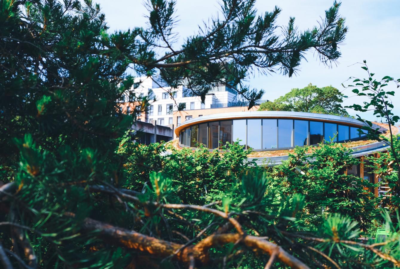 H.C. Andersen's House in Odense from outside in the garden