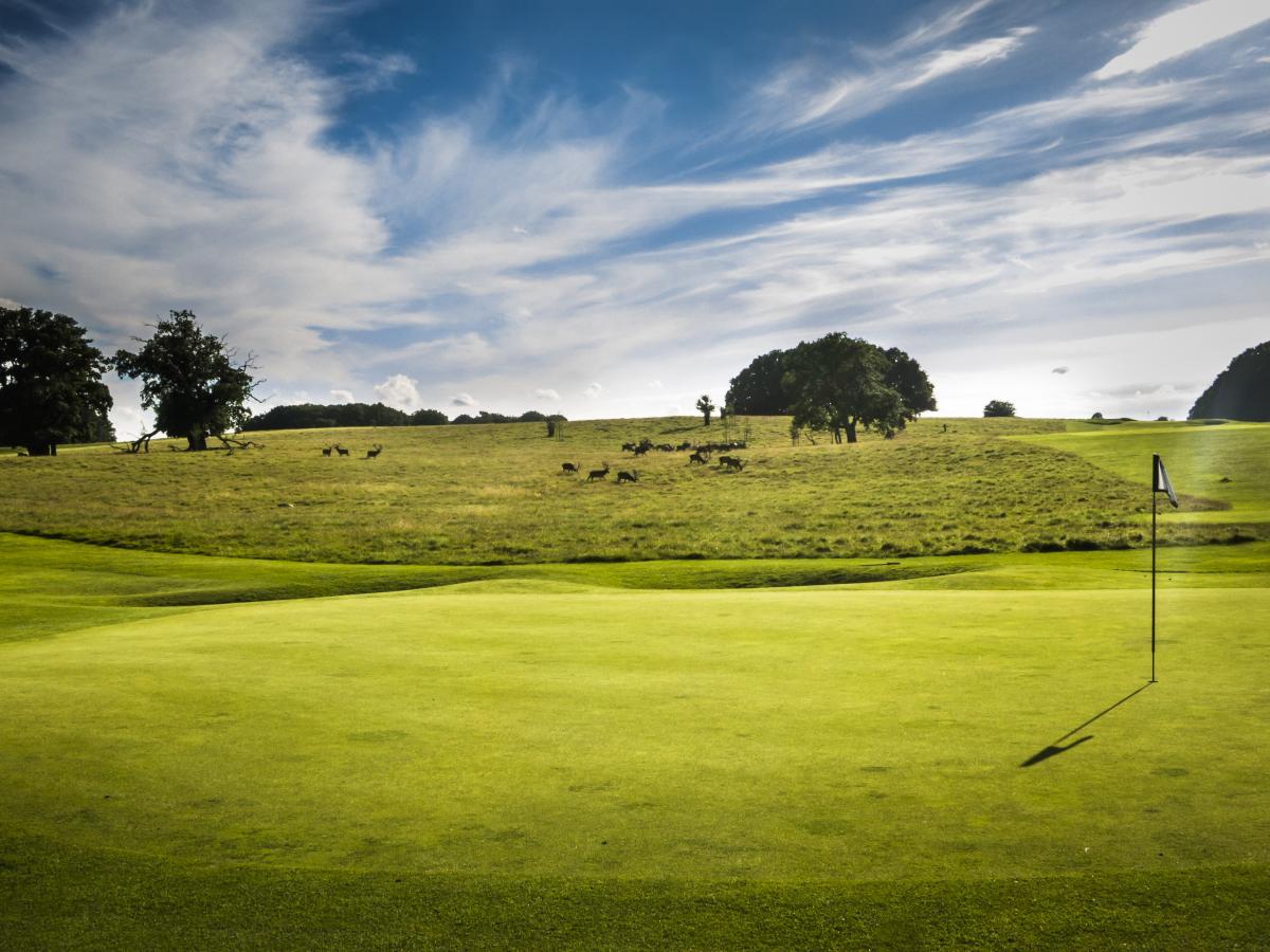 Golfbane Nordsjaelland