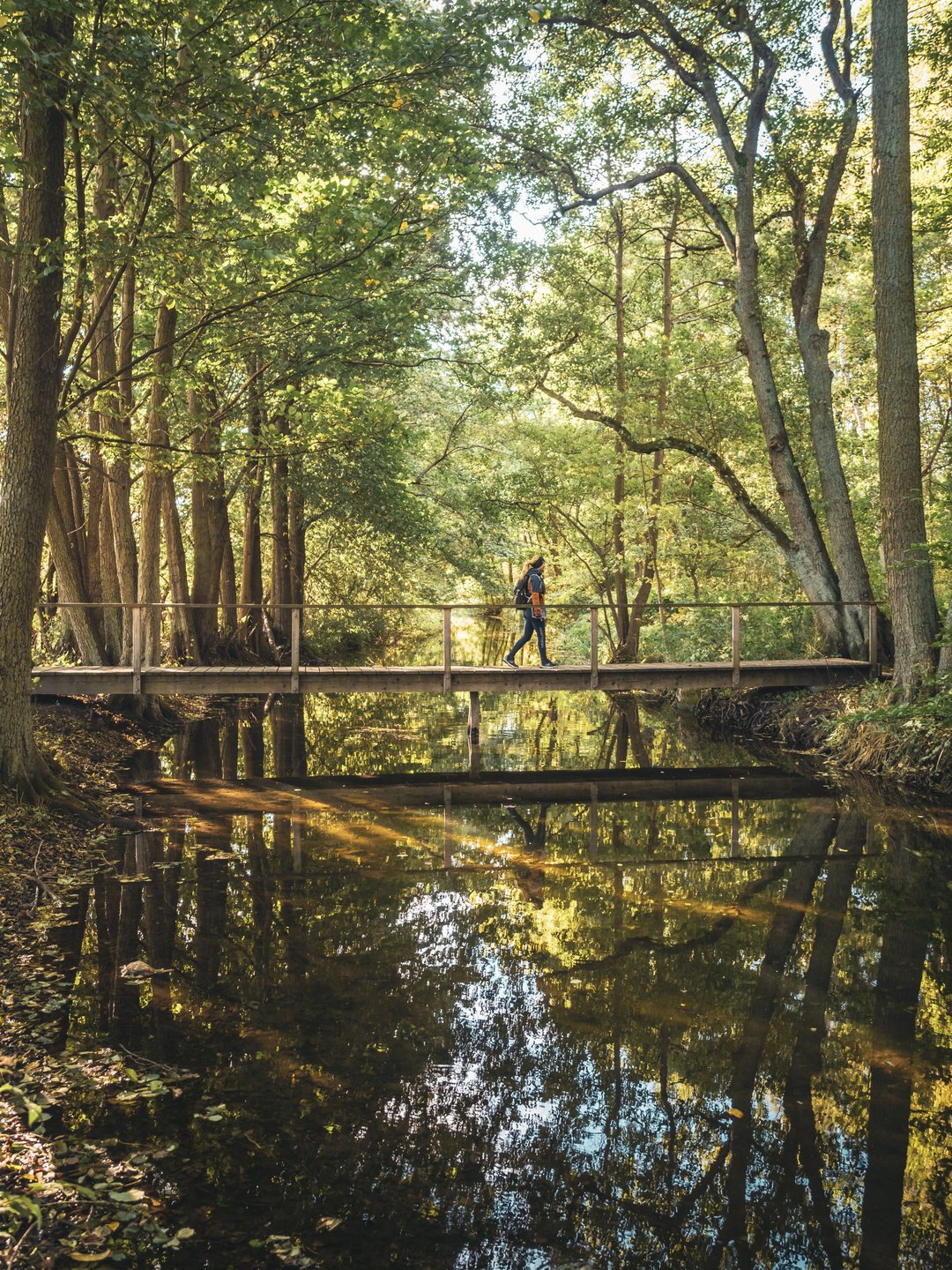 Pilgrim Nordjsaelland