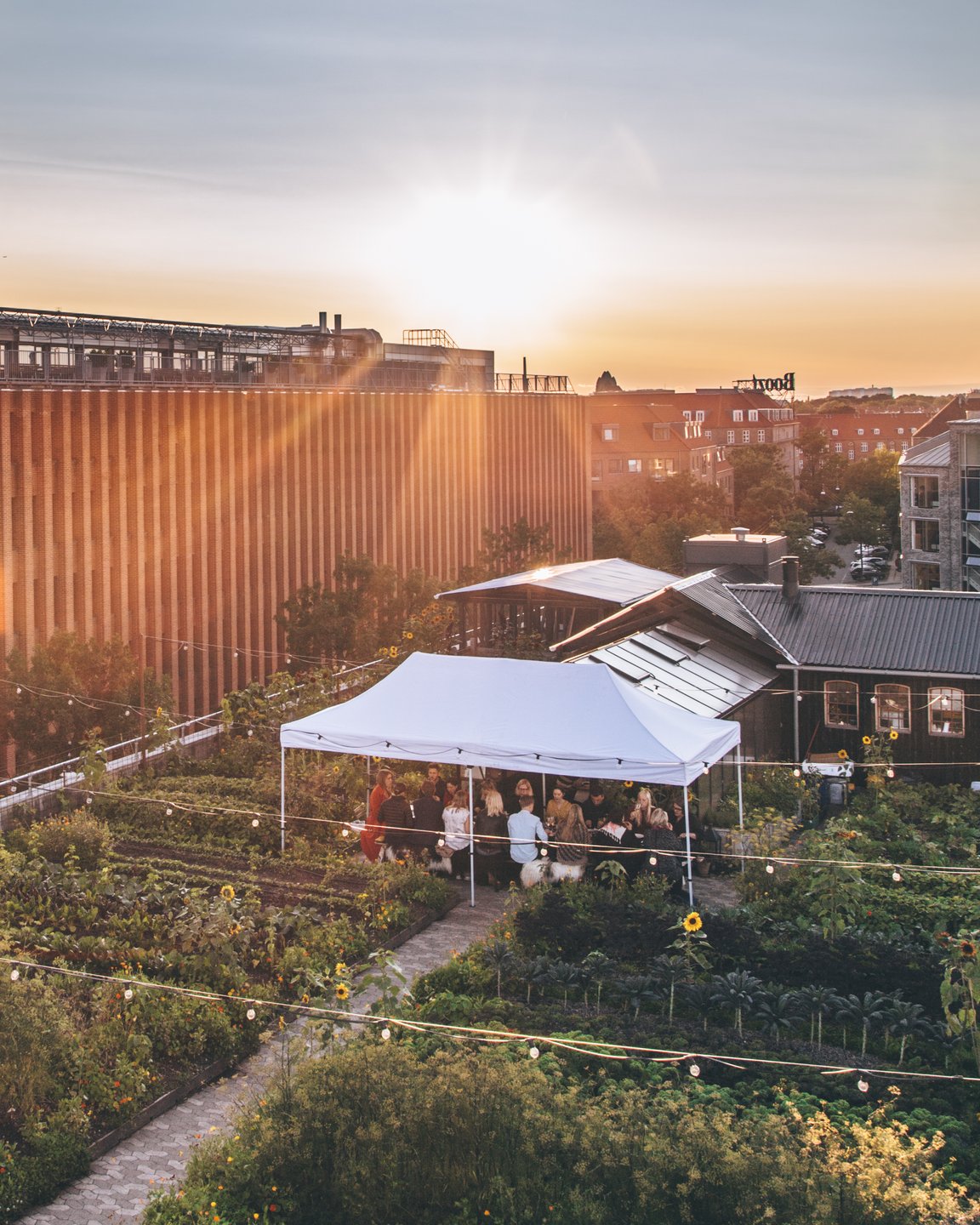 Gro Spiseri, Kampagneside 2022