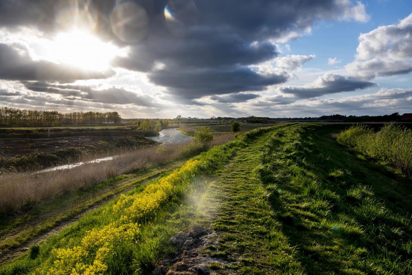 Bild von einem Teil des Marschpfads und die umgebende Natur