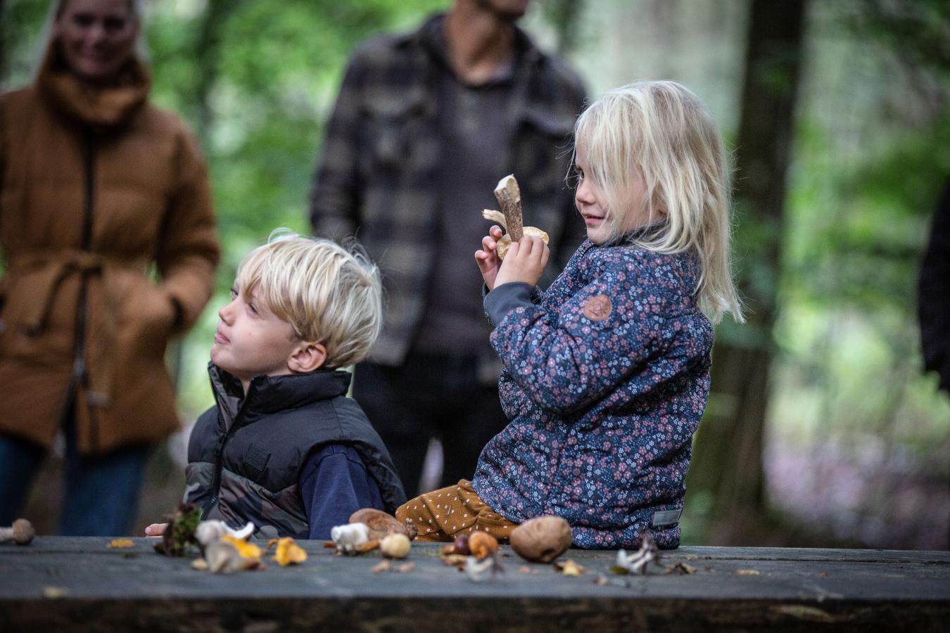 Zwei Kinder auf Pilzwanderung in Naturpark Vesterhavet