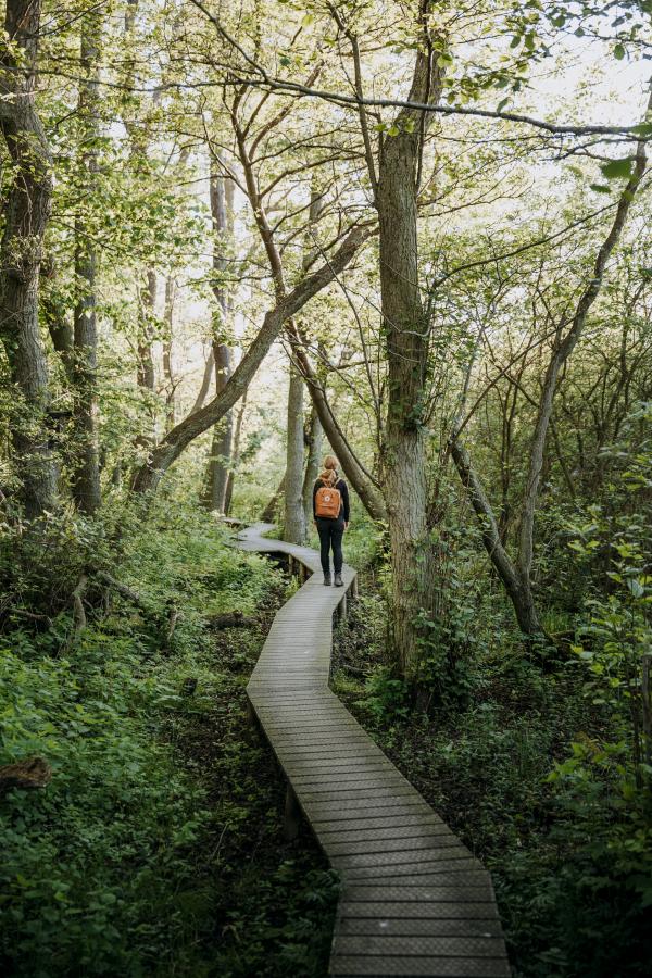 Bild eines Mannes beim Wandern in der Natur bei Gundsømagle