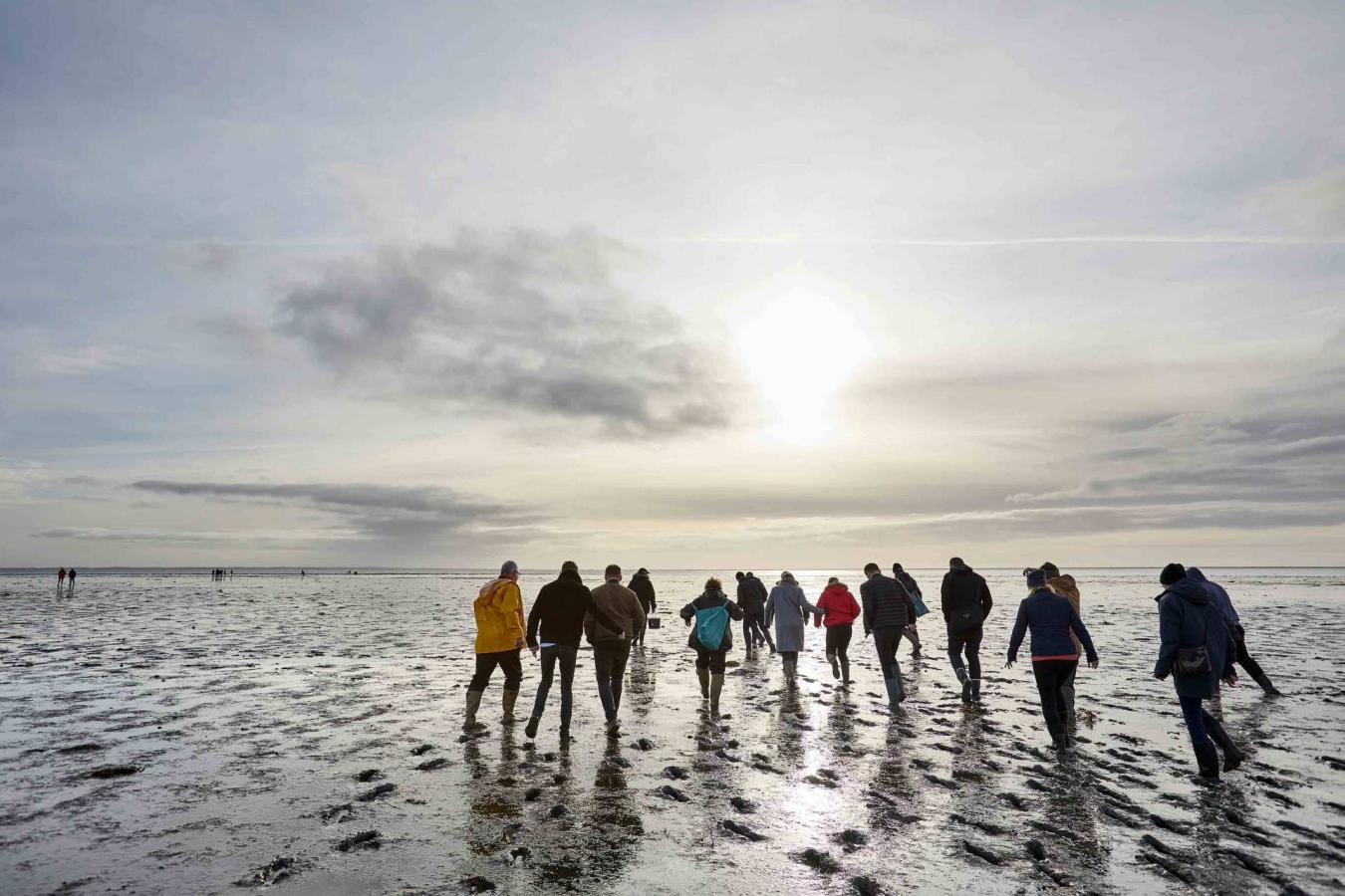 Bild von einer Gruppe Menschen auf einer Austernsafari