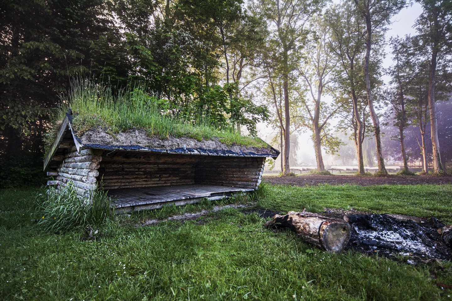 Shelter i skoven på Djursland