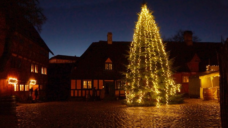 Christmastree in Aarhus