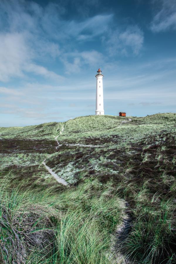 Bild von Lyngvig Fyr und der umgebenden Natur