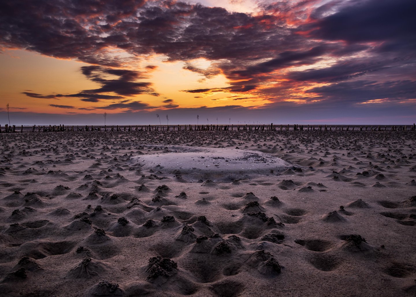 Nature in national park Wadden Sea, Denmark