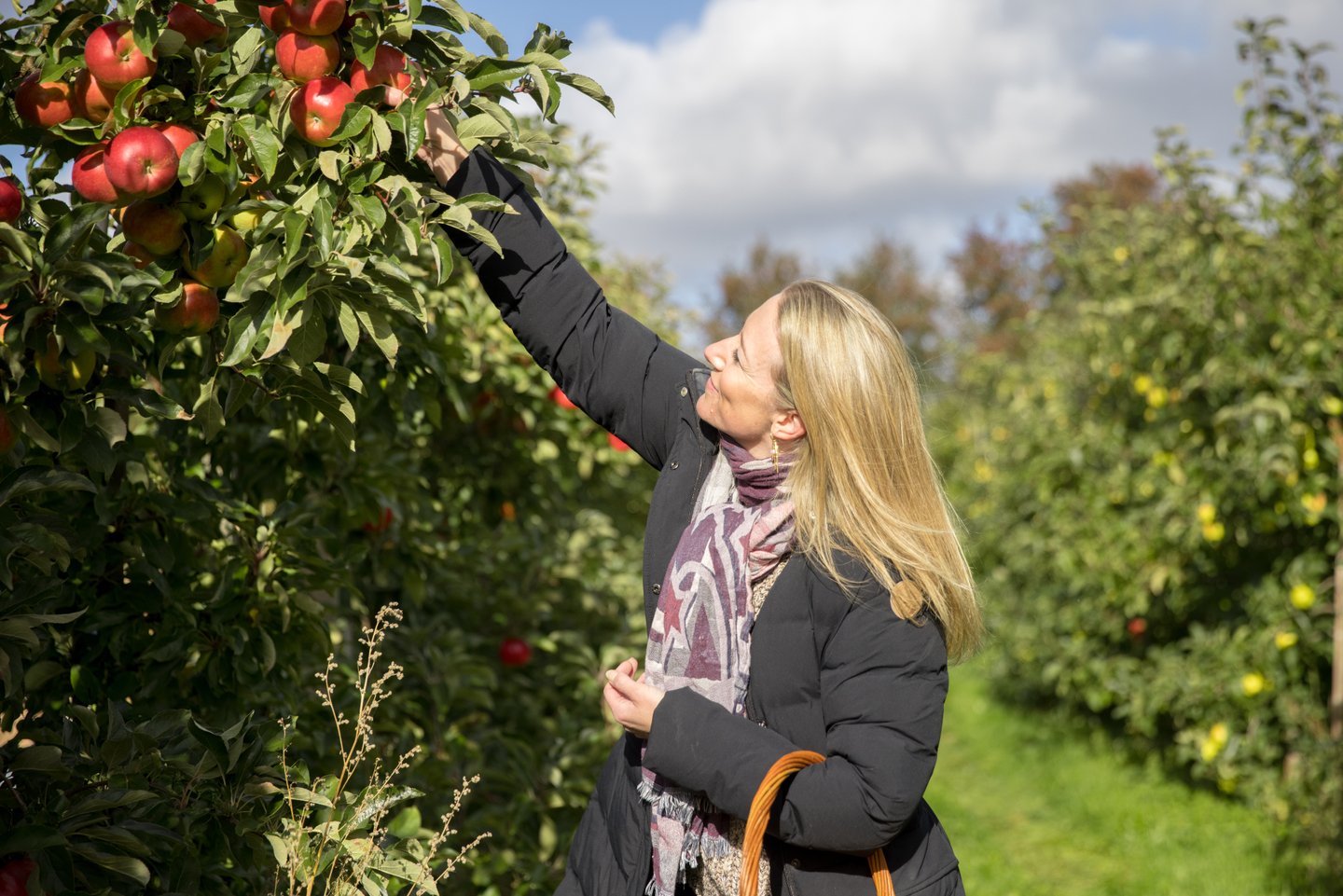 Vakantie Denemarken? Ontdek Kustland, het hart van Denemarken