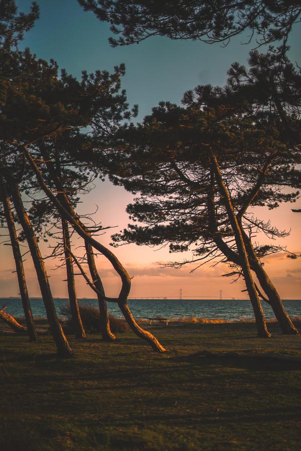Beach on Zealand, Denmark
