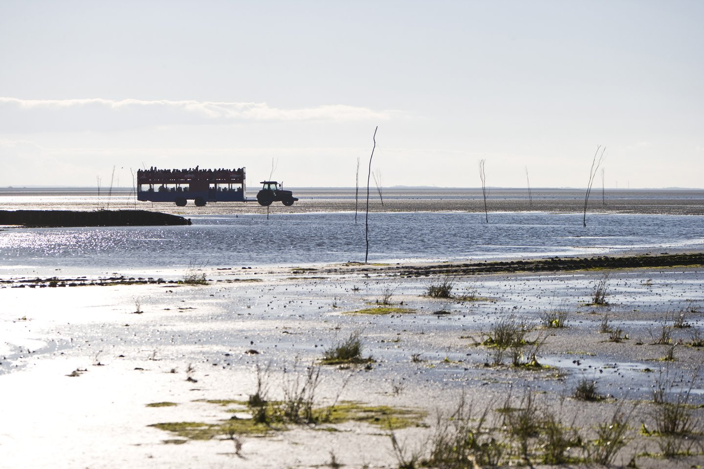 Denemarken vakantie? Ontdek de Deense Waddeneilanden Fanø, Rømø en Mandø