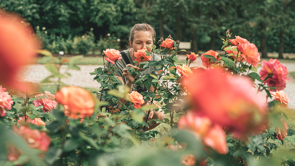 Gavnø Castle Park, Denmark